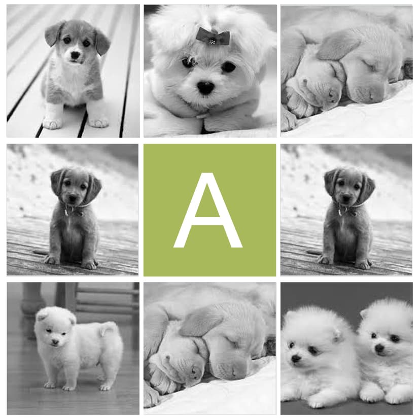 Orka Home Cushion Personalised 9 Pictures Pet