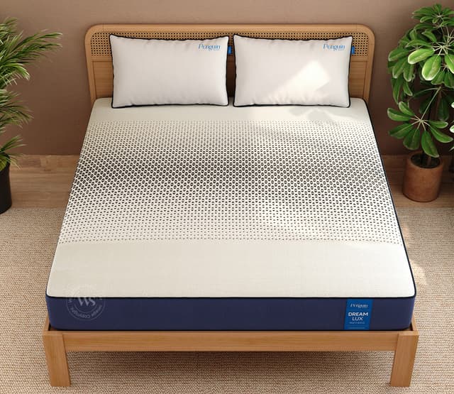 Dream Lux Memory Foam Mattress – Queen Size (78x60 inches, 8-inch Thickness)